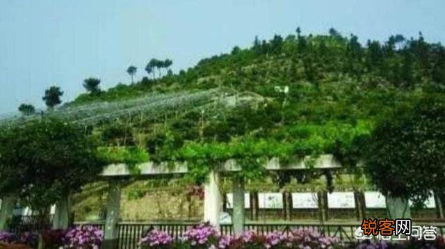 在重庆,除了游乐场,还有什么乐园适合带上家人一起去耍的吗？
