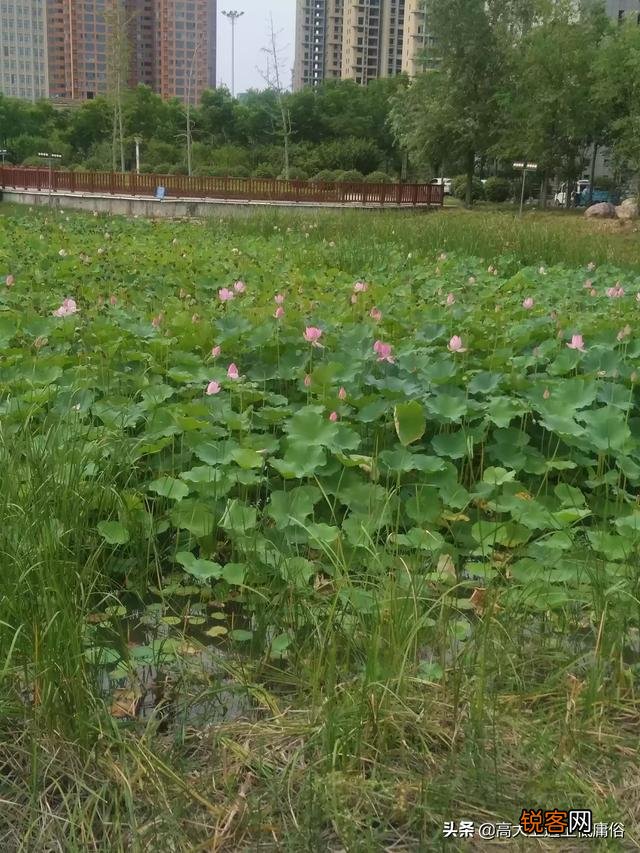 一个月工资多少才能养活一家人？