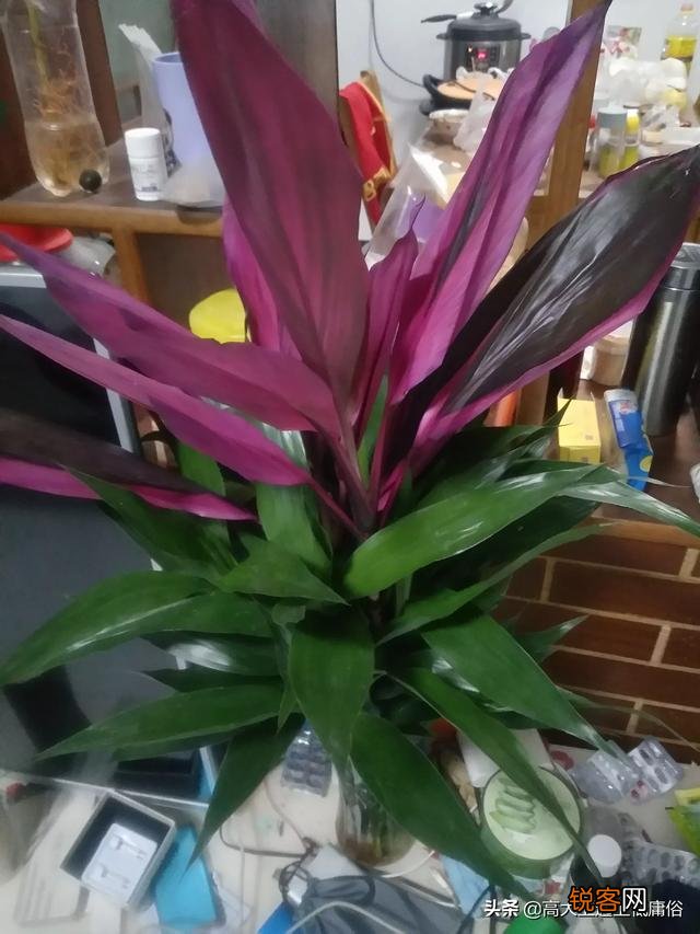 一个月工资多少才能养活一家人？