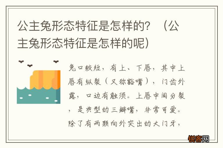 公主兔形态特征是怎样的呢 公主兔形态特征是怎样的？