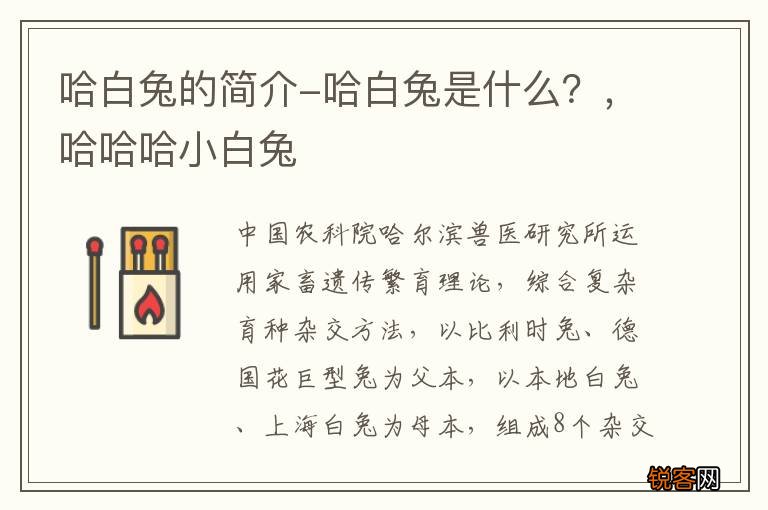 哈白兔的简介-哈白兔是什么？，哈哈哈小白兔