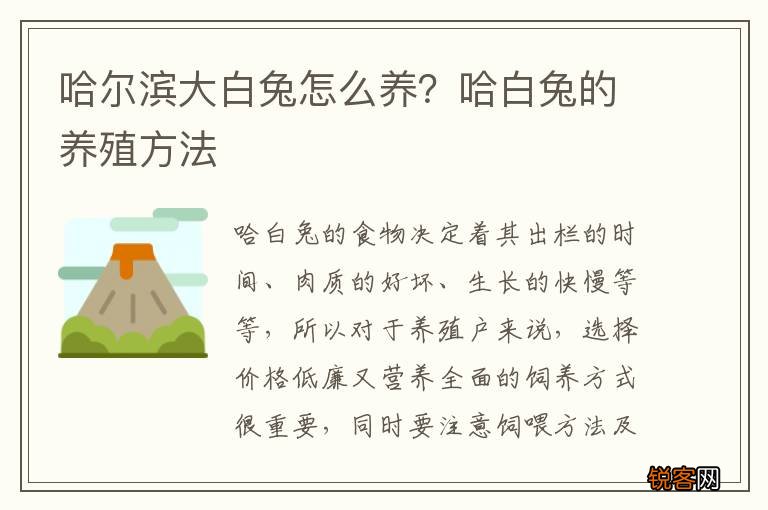 哈尔滨大白兔怎么养？哈白兔的养殖方法
