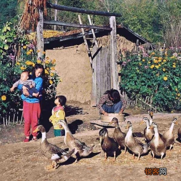 现在农村人也喜欢白天插门闭户了,是人情味淡了,还是什么原因？