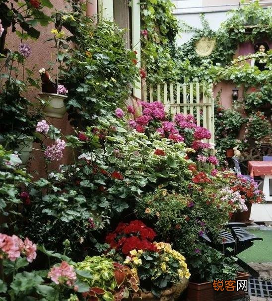 老年人都有退休金,很多喜欢养花种菜,去农村租个院子好吗？