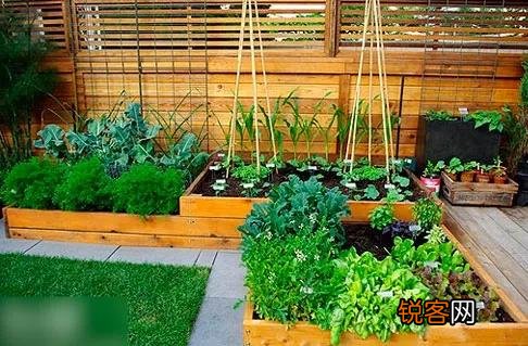 老年人都有退休金,很多喜欢养花种菜,去农村租个院子好吗？