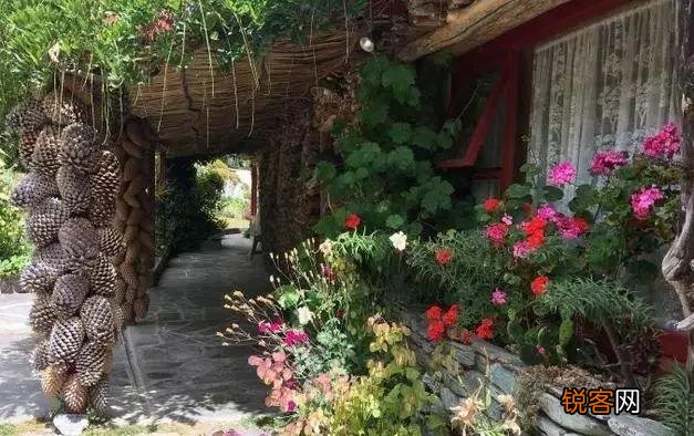 老年人都有退休金,很多喜欢养花种菜,去农村租个院子好吗？