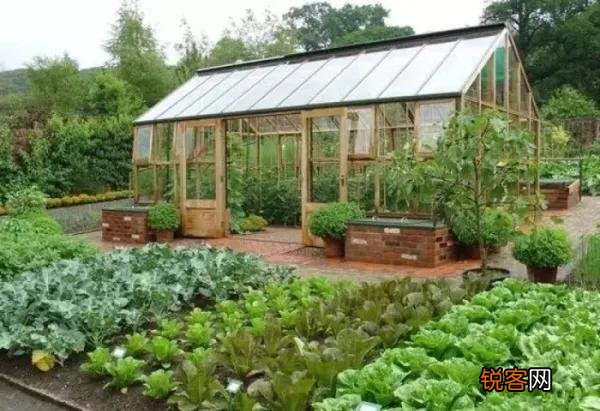 老年人都有退休金,很多喜欢养花种菜,去农村租个院子好吗？