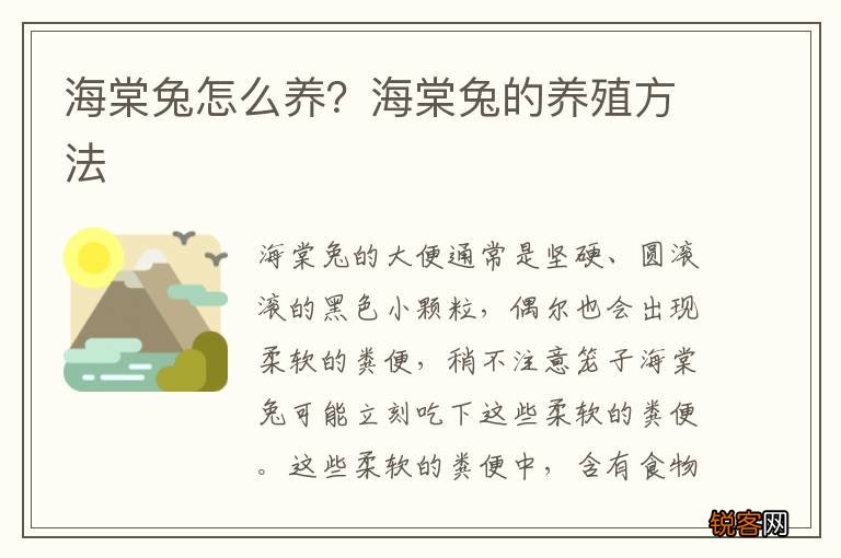 海棠兔怎么养？海棠兔的养殖方法