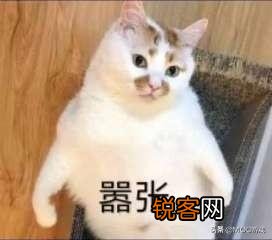 英雄联盟：就深渊巨口-克格莫配什么样辅助最厉害,有玩家一致认为是露露,你觉得呢？