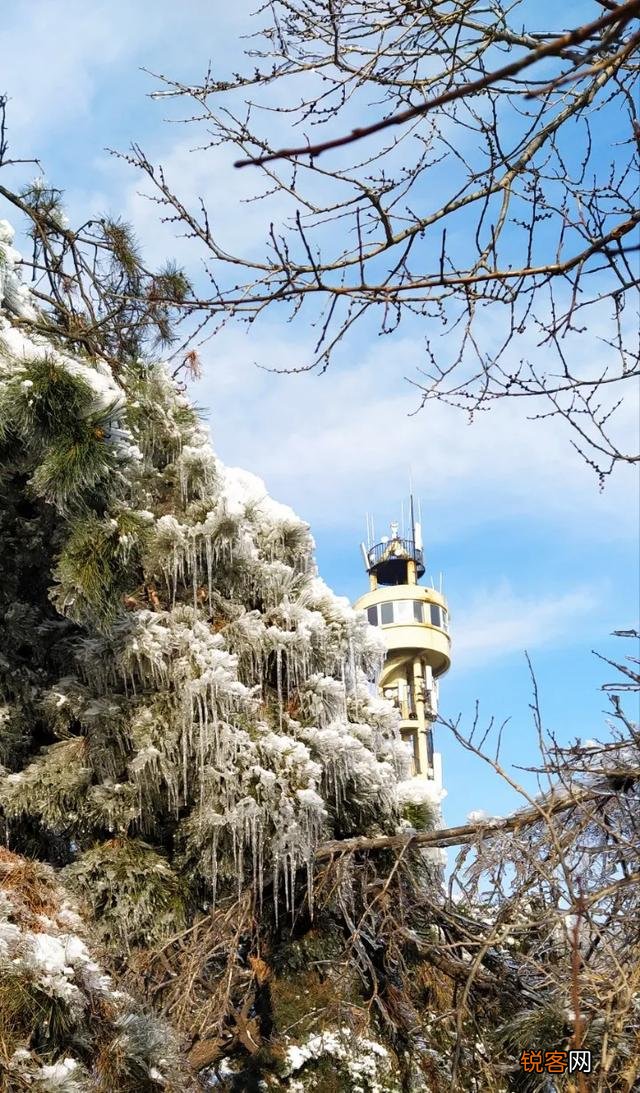 为什么鲁迅会说：奴才一旦做了主子,会比主子更能摆架子？