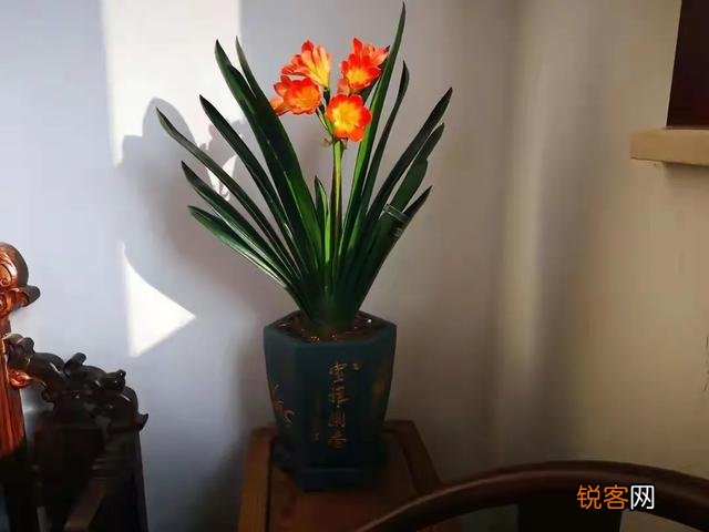 孔子的一生并不算太成功,为什么却成中国古代最伟大的人之一？