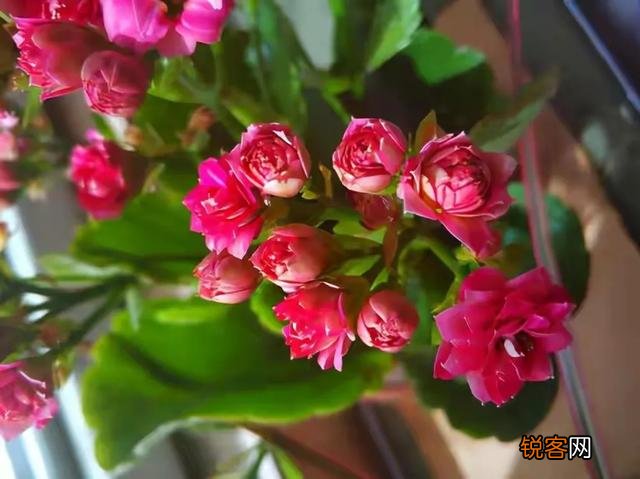 孔子的一生并不算太成功,为什么却成中国古代最伟大的人之一？