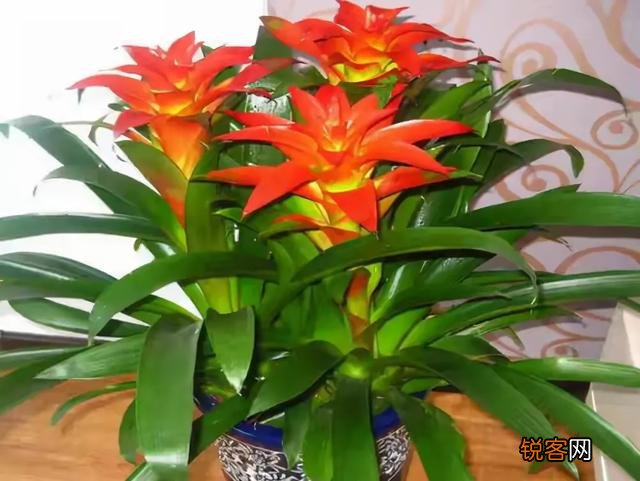 孔子的一生并不算太成功,为什么却成中国古代最伟大的人之一？