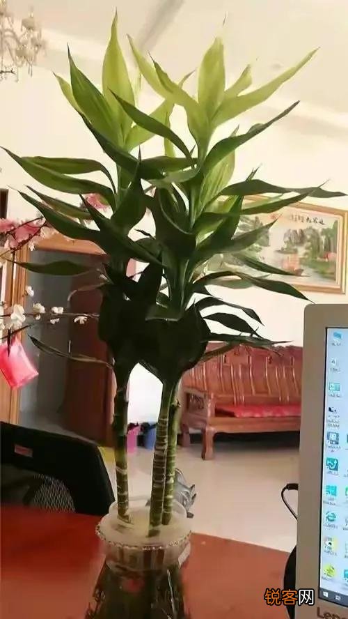 孔子的一生并不算太成功,为什么却成中国古代最伟大的人之一？