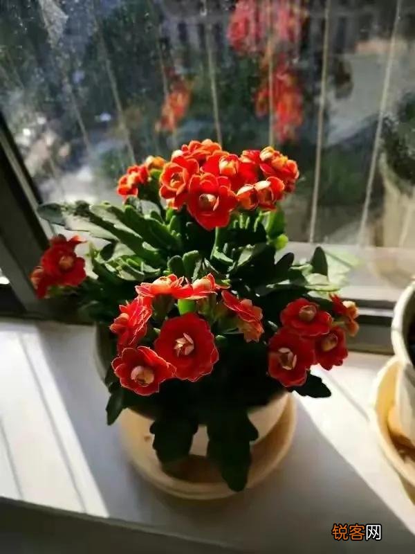 孔子的一生并不算太成功,为什么却成中国古代最伟大的人之一？