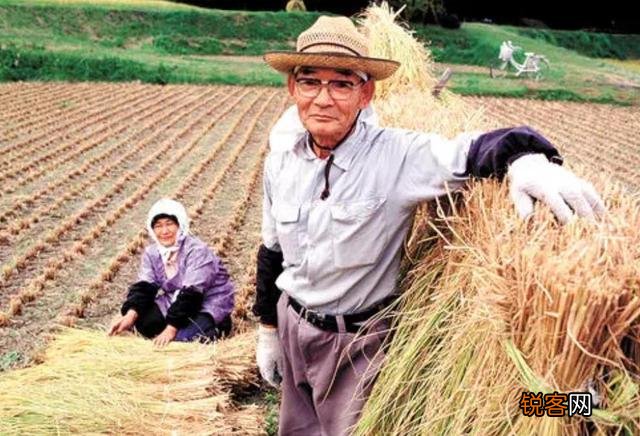 都是农村,为什么日本人都愿意留在农村生活,而我们却都涌向城市？