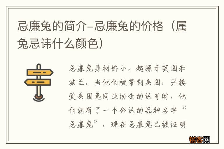 属兔忌讳什么颜色 忌廉兔的简介-忌廉兔的价格