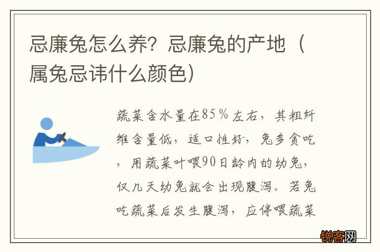 属兔忌讳什么颜色 忌廉兔怎么养？忌廉兔的产地