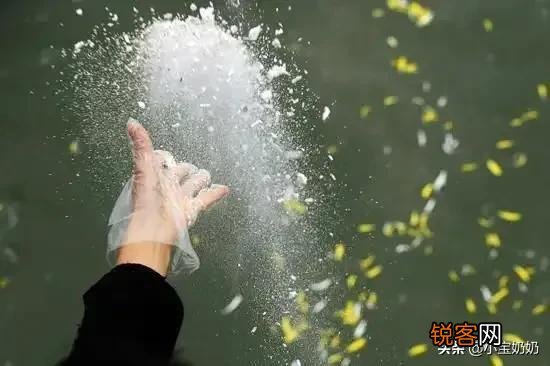 亲生父母去世,孩子不买墓地把骨灰撒到老家山上,这叫不孝顺吗？