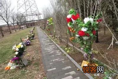 亲生父母去世,孩子不买墓地把骨灰撒到老家山上,这叫不孝顺吗？