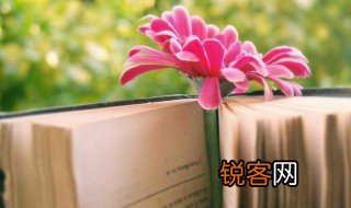 玏怎么读 玏的读法