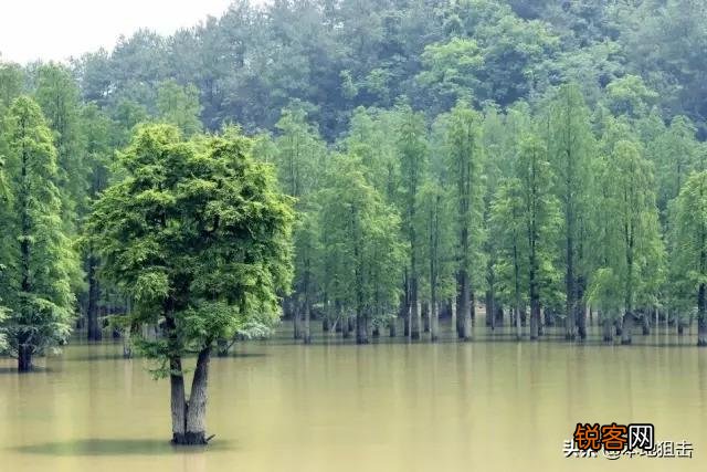 上海挨着海,为什么没有海景房,反而是江景房卖的最贵？