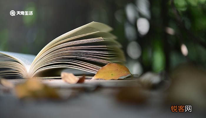 北陂杏花古诗翻译赏析 北陂杏花古诗的翻译赏析