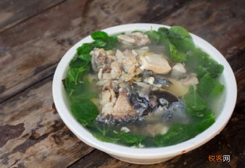 黄古丁鱼怎么养