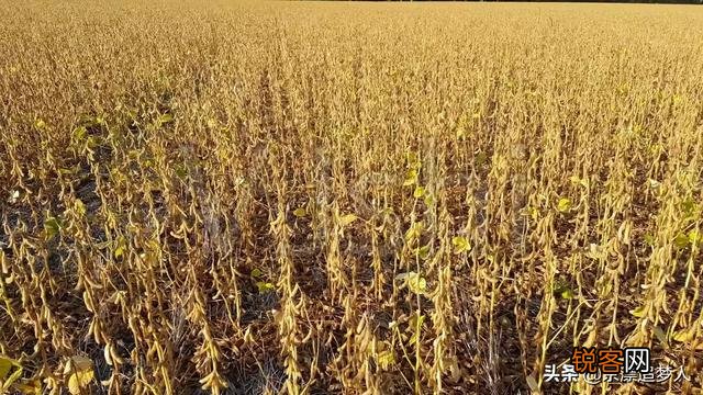 为什么旧社会地主要雇人种地,而不是把地卖出去？