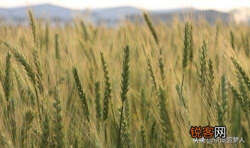 为什么旧社会地主要雇人种地,而不是把地卖出去？