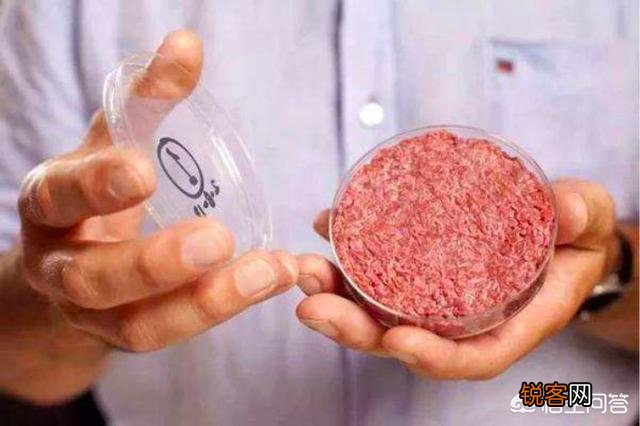 什么是人造肉？