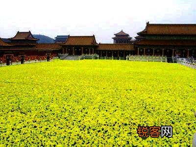 如何看待2021春节西安咸阳国际机场挂的黄巢的“冲天香阵透长安,满城尽带黄金甲”的诗句？是无知,还是？