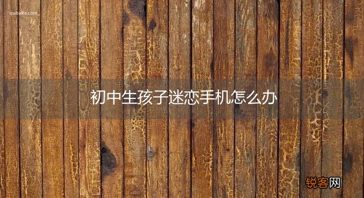 初中生孩子迷恋手机怎么办