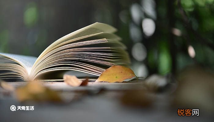 江城子苏轼翻译及赏析 江城子苏轼的翻译及赏析