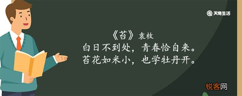 苔古诗的意思翻译 苔古诗的意思