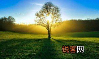 描写校园美景的句子 描写校园美景的句子大全