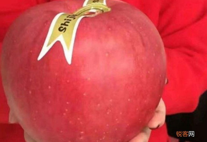 世界一号苹果产地在哪里