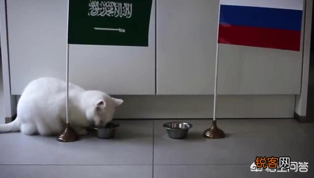 沙特王储穆罕默德在国内有多大实权？