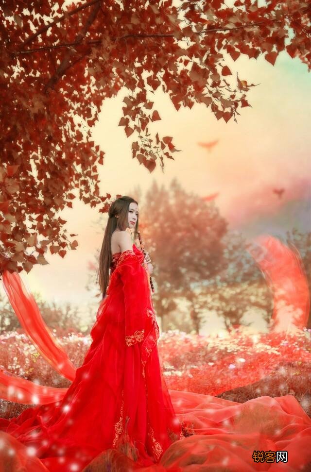 有什么书能让你看完后久久不能释怀？