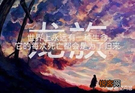 有哪些小说你看完之后又看了一遍？