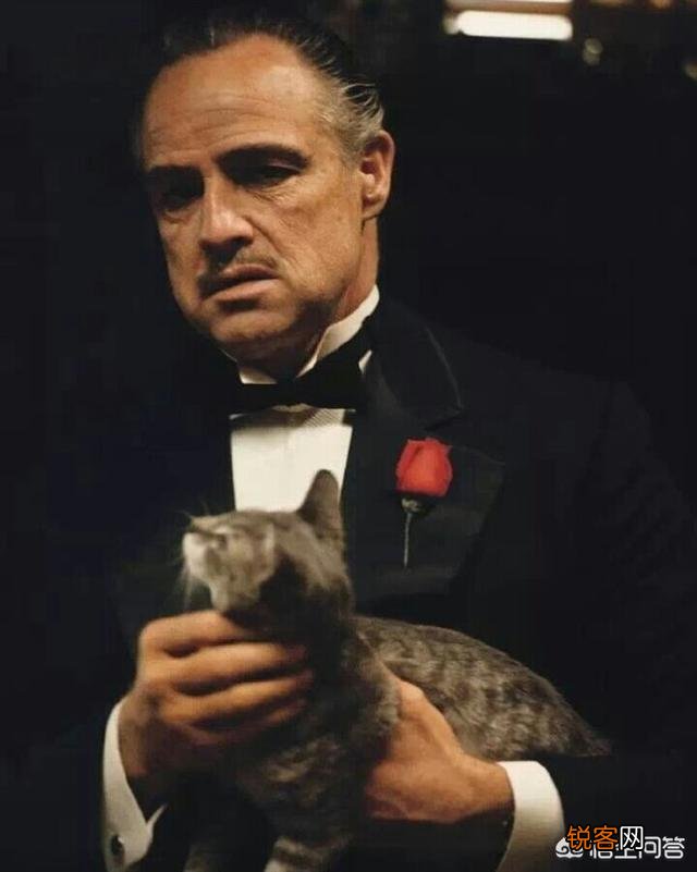 有哪些小说你看完之后又看了一遍？