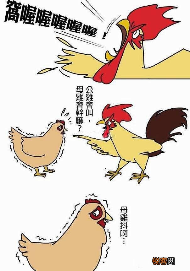 如何看待“牝鸡司晨,惟家之索”的古训？