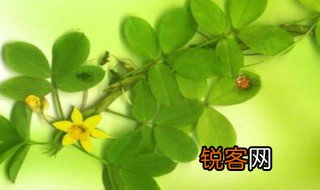 什么是生态文明 何谓生态文明