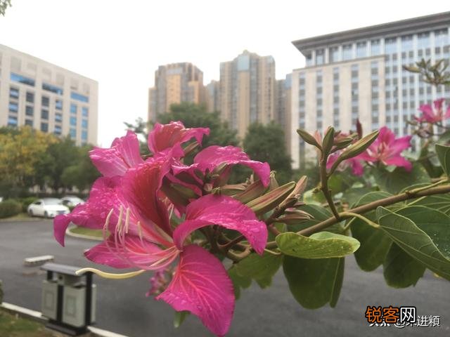 小姑子老是挑拨我和我老公的关系,老公不帮过我,该离婚吗？