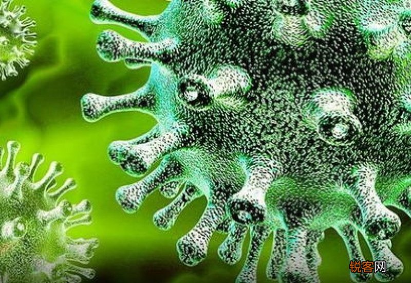 变异新冠病毒有哪些国家