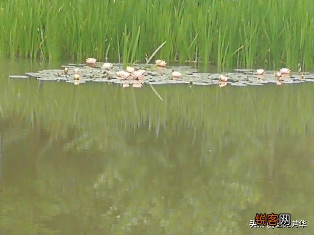 有关历史的书籍,有哪些推荐？