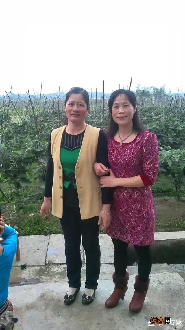 做为小姑子真的不能和嫂子和平相处吗？