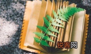 稚子弄冰描写了什么场景 稚子弄冰的原文