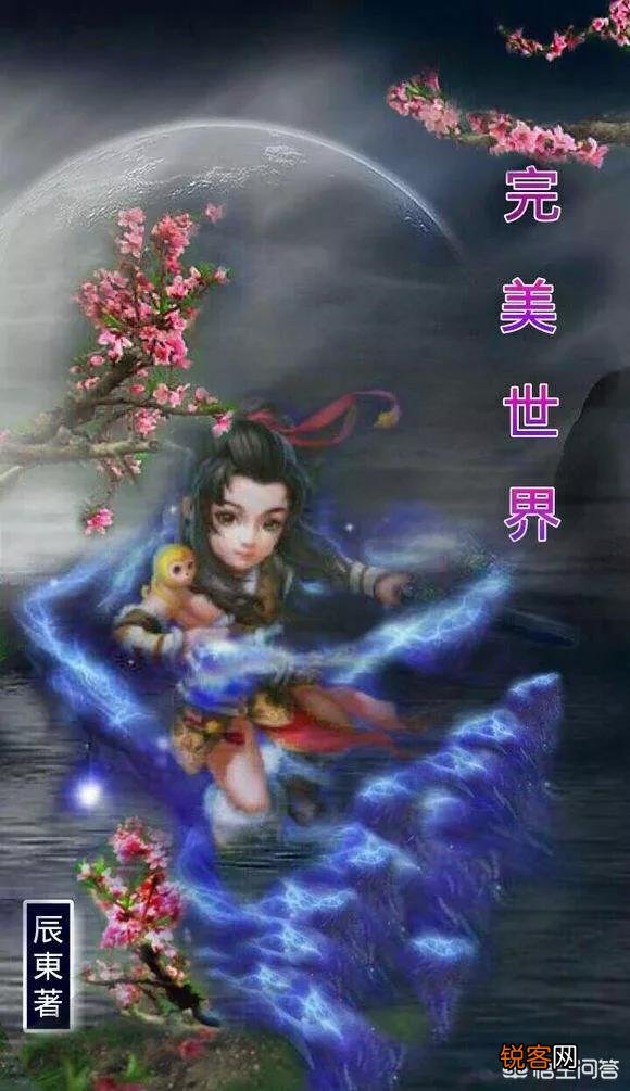 你觉得完美世界小说怎么样？
