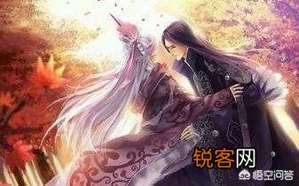 你觉得完美世界小说怎么样？